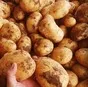 молодой картофель 2021 в Саратове и Саратовской области 3