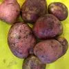 картофель в Саратове 3