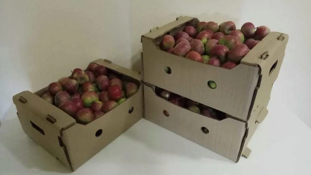 яблоки - урожай 2020 г. в Саратове 3