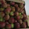 яблоки - урожай 2020 г. в Саратове 2